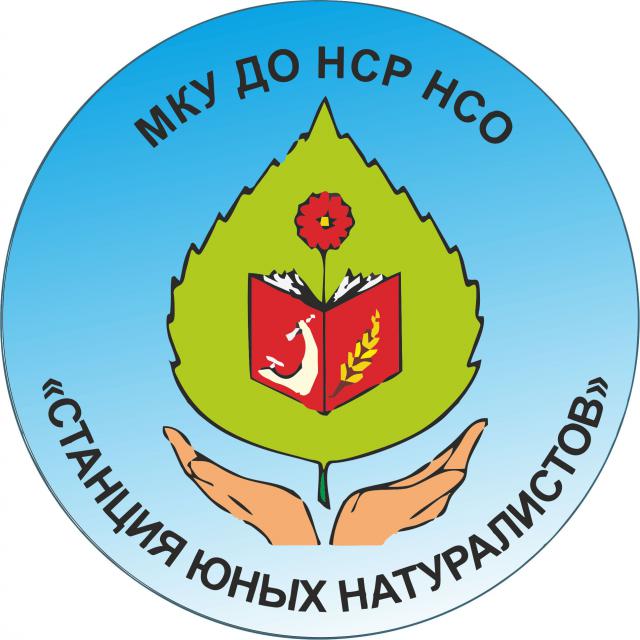  обл.jpg